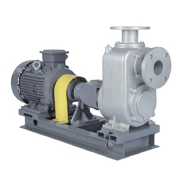 LSGLSK Bomba autocebante LSGLSK